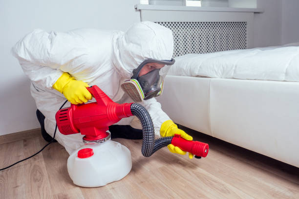 Best Termite Control Services  in Vermillion, SD