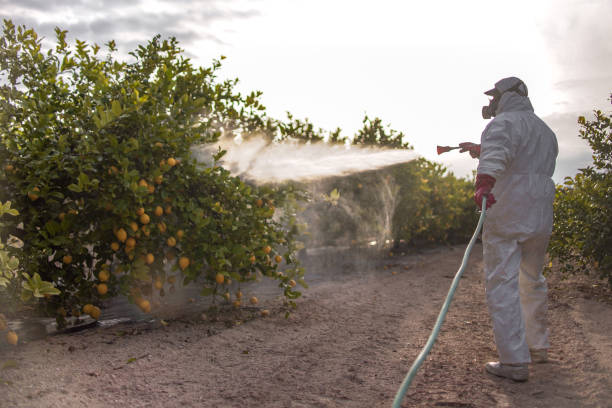 Best Bed Bug Extermination  in Vermillion, SD