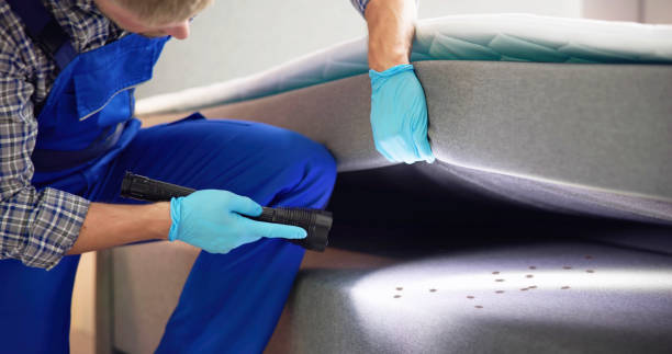 Best Best Pest Control Near Me  in Vermillion, SD