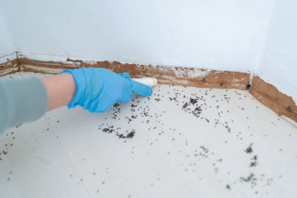 Trusted Vermillion, SD Pest Control Experts